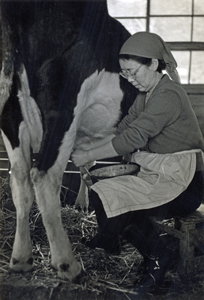 ノンちゃん牧場で 撮影:安田勝彦、写真提供:東京子ども図書館