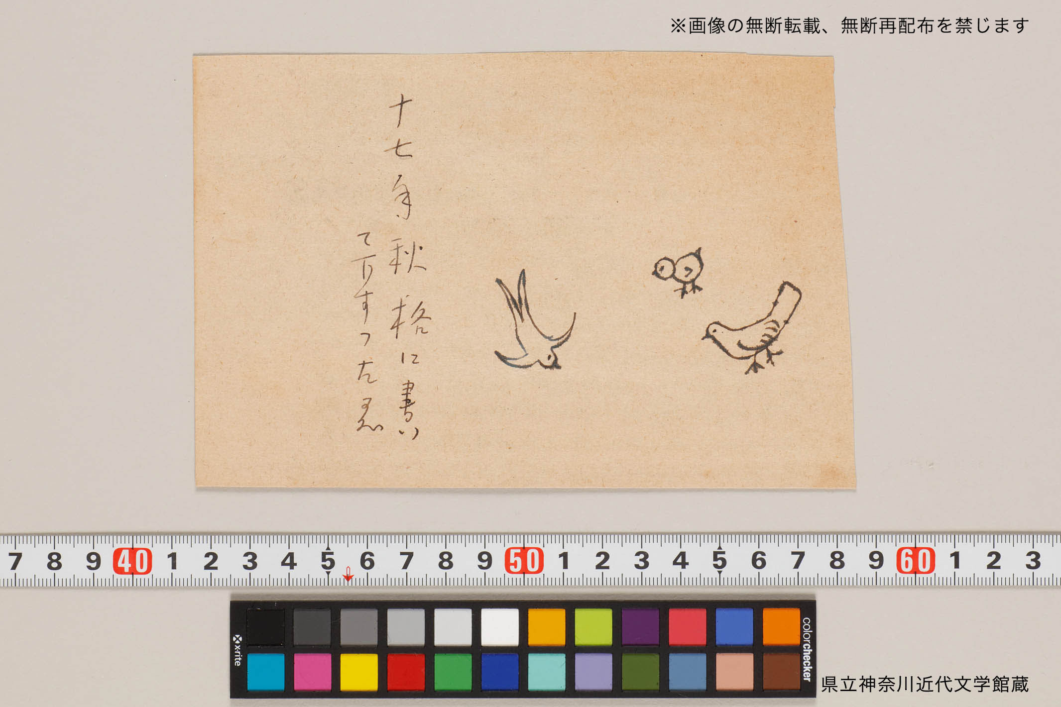 鳥 | 県立神奈川近代文学館所蔵 中島敦直筆資料デジタルアーカイブ