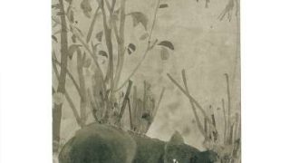 小説家 夏目漱石『あかざと黒猫図(300幅限定高級複製印刷)』六耀社製 吾輩は猫である 文豪 動物 花鳥画 茶掛け茶道具掛け軸掛軸書画 道草 (新潮文庫) | 漱石, 夏目 |本 | 通販 |